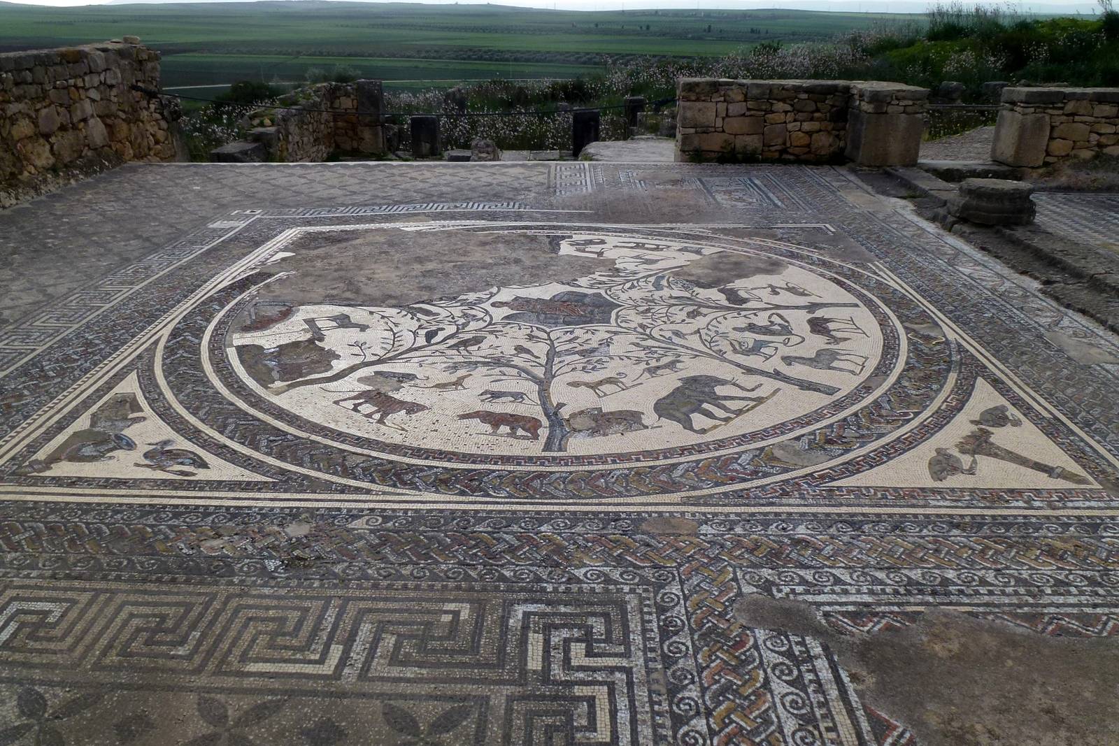 The Orpheus mosaic at Volubilis in Morocco