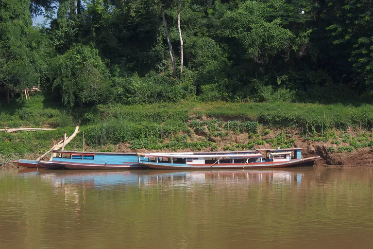 Long wooden river boats painted blue, red and white moored against the steep green bank of the Nam Khan in Luang Prabang, with trees above and their reflections in the brown water.