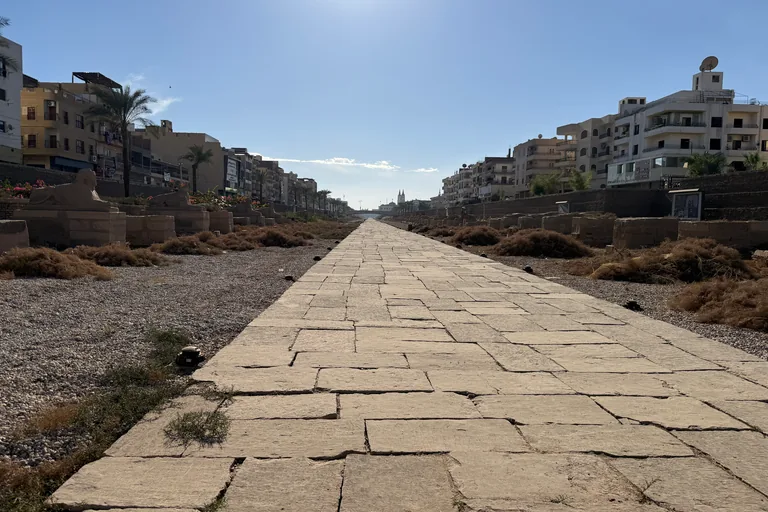 The paved Avenue of Sphinxes between rows of sphinxes and their bases, with apartment blocks along both sides and a pair of church spires in the distance.