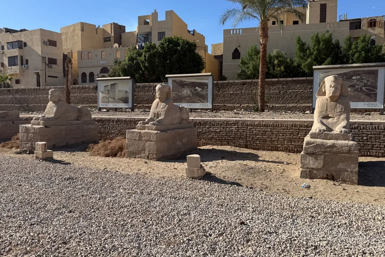 Three restored sphinxes on stone bases on the avenue beside this stop, with display panels of old photographs on the wall behind them and town houses and a palm tree above.
