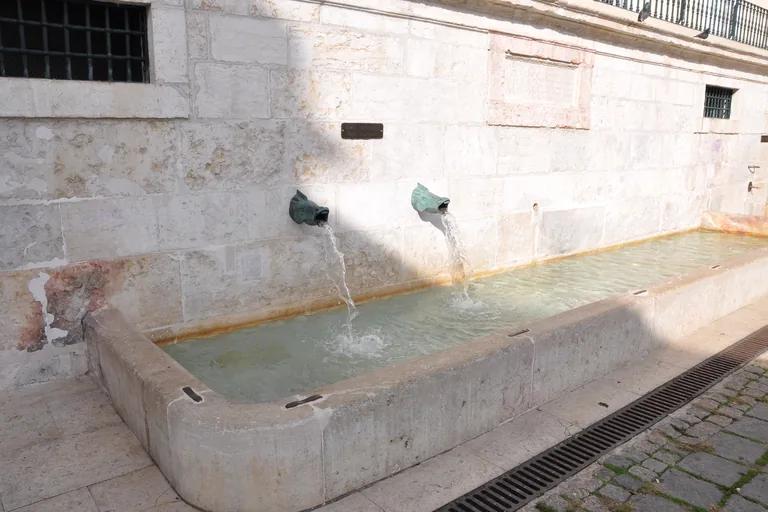 Two spouts running into the stone trough of the Chafariz de Dentro.