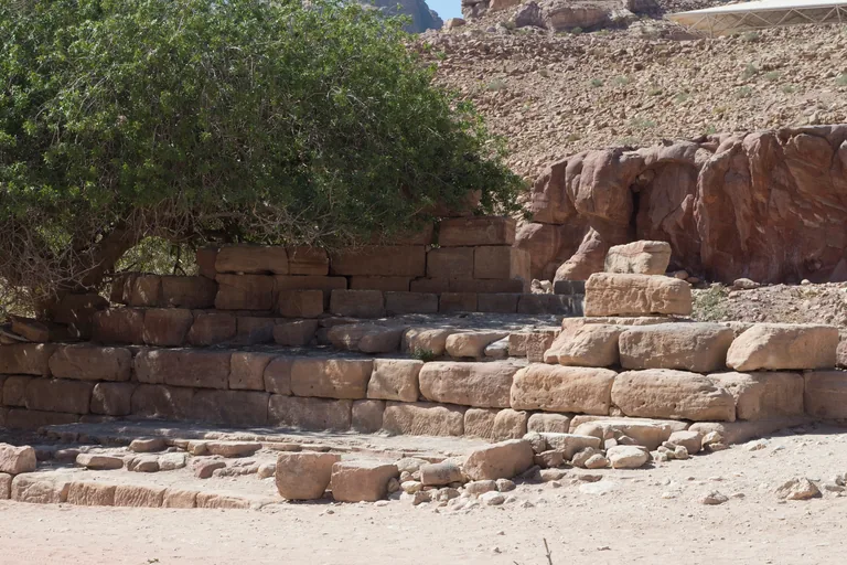 The stepped stone podium of the Nymphaeum under the spreading branches of an old pistachio tree, with the stony slope and a modern shelter roof behind.