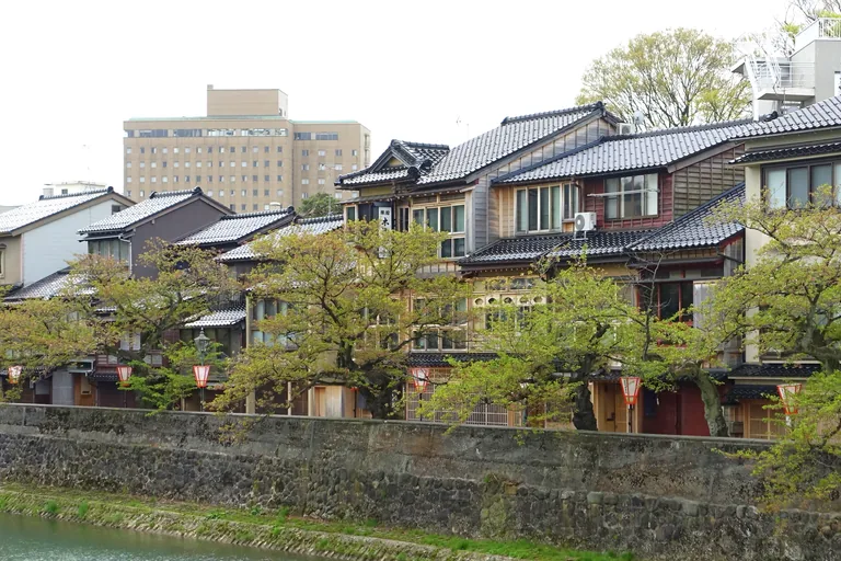 A row of two and three storey wooden townhouses with tiled roofs behind young trees and red and white lanterns, above a long stone river wall and the green water of the Asano river at Kazuemachi in Kanazawa, with a tall modern building behind.