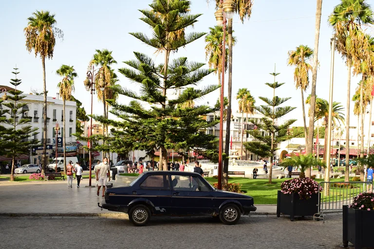The Grand Socco under a clear sky, with tall palms and Norfolk pines around the central garden, a dark blue car parked by the kerb, flower planters and white buildings and café awnings beyond.
