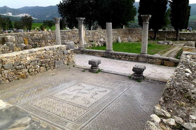 The House of Orpheus mosaic at Volubilis.