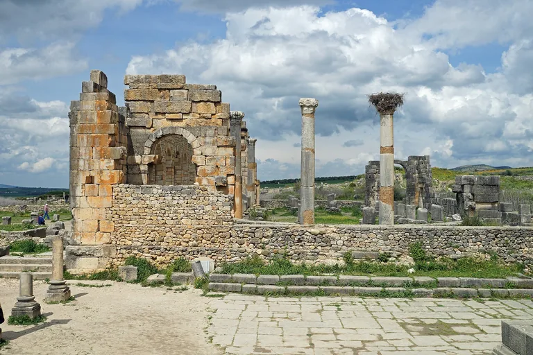 Arches and standing columns of the Roman basilica at Volubilis.