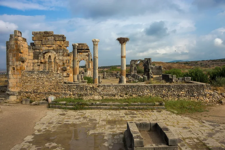 The paved forum at Volubilis with basilica ruins beyond it.