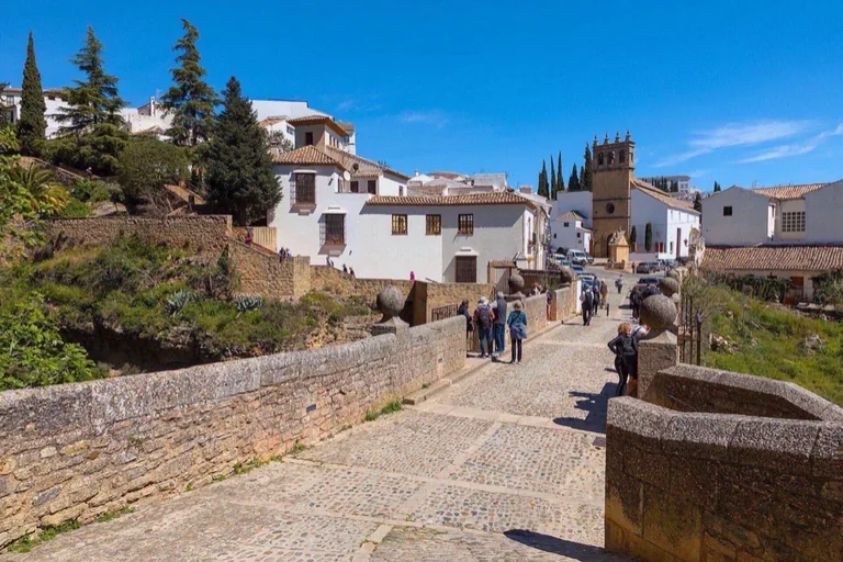 The single arch of the old bridge over the Guadalevín