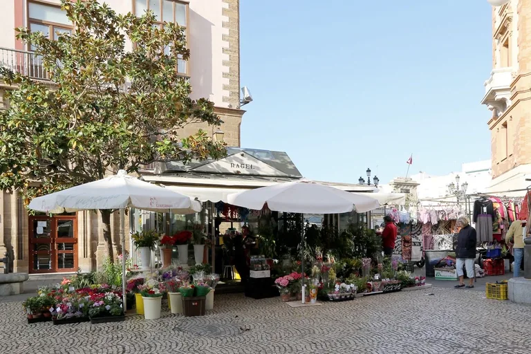 Flower stalls and daily use beside the Central Market