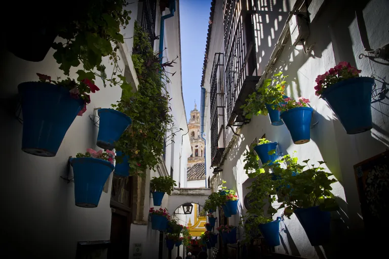 The calleja with the Mezquita tower beyond